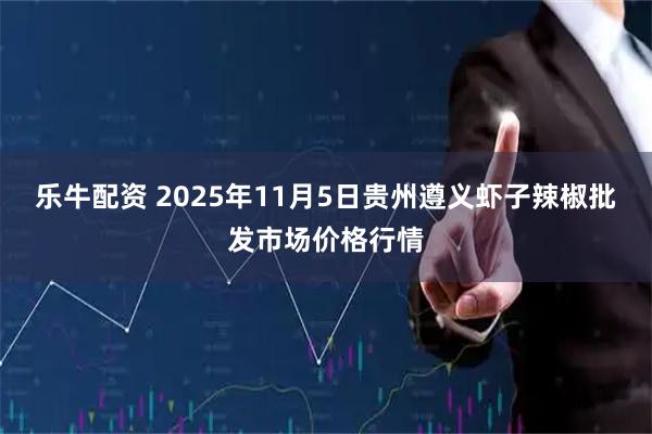 乐牛配资 2025年11月5日贵州遵义虾子辣椒批发市场价格行情
