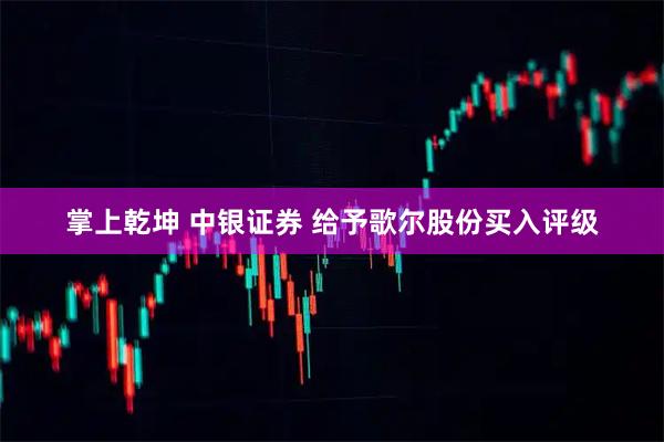 掌上乾坤 中银证券 给予歌尔股份买入评级